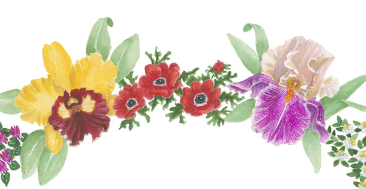Orchids & Irises