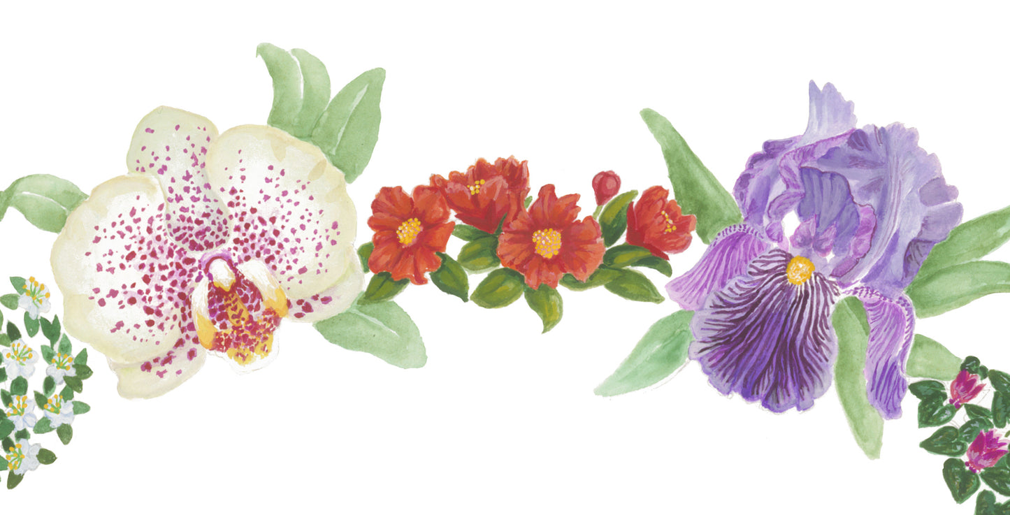 Orchids & Irises
