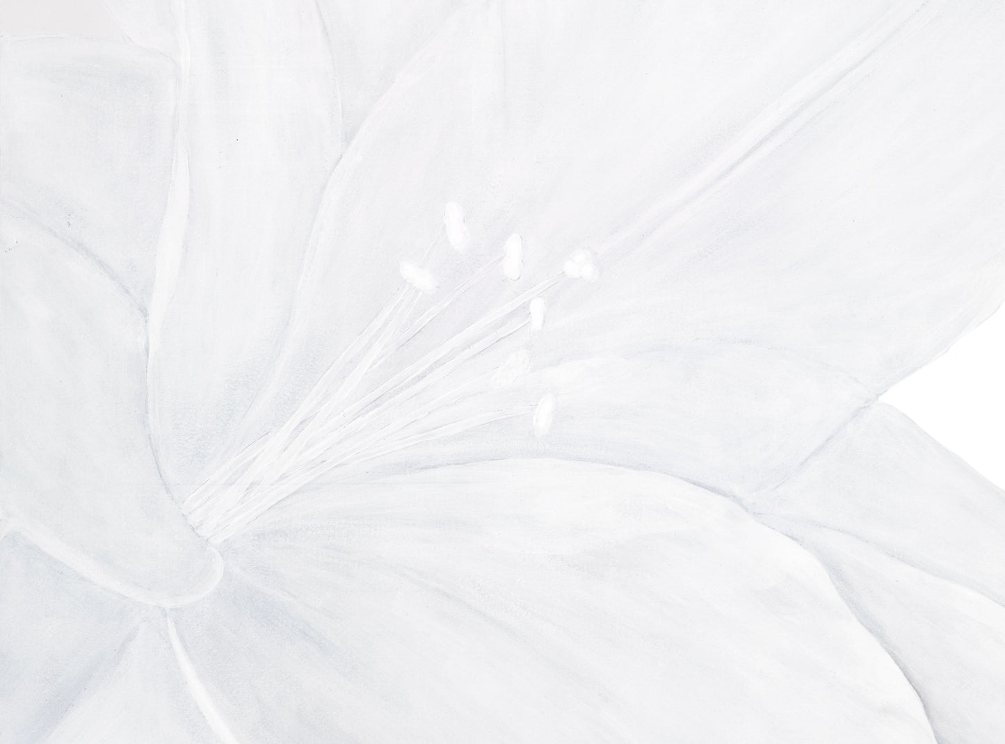 White on White: Lilies