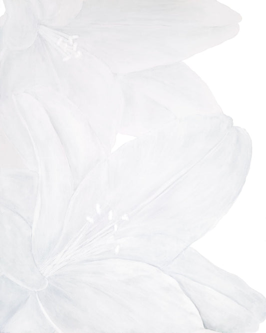 White on White: Lilies