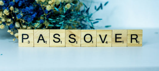 The Passover We Grew Up With (Part II)