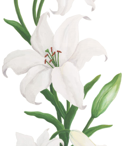 Lilies in Bloom